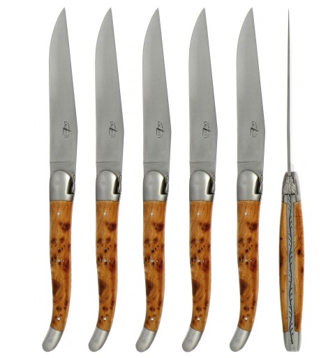 Steakmesser Set Wacholder - satiniert - 6-teiliges Set