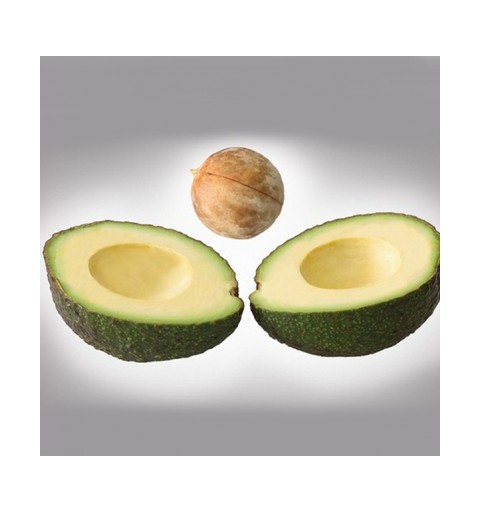 Avocadoschneider Moha