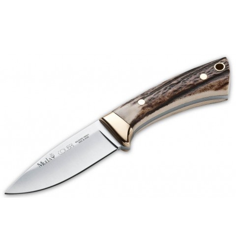 Outdoormesser Muela Colibri Stag