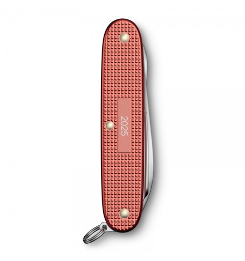 Pioneer X - Alox Limited Edition 2025