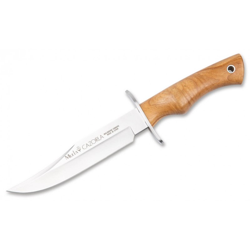 Muela Cazorla 16 Olive