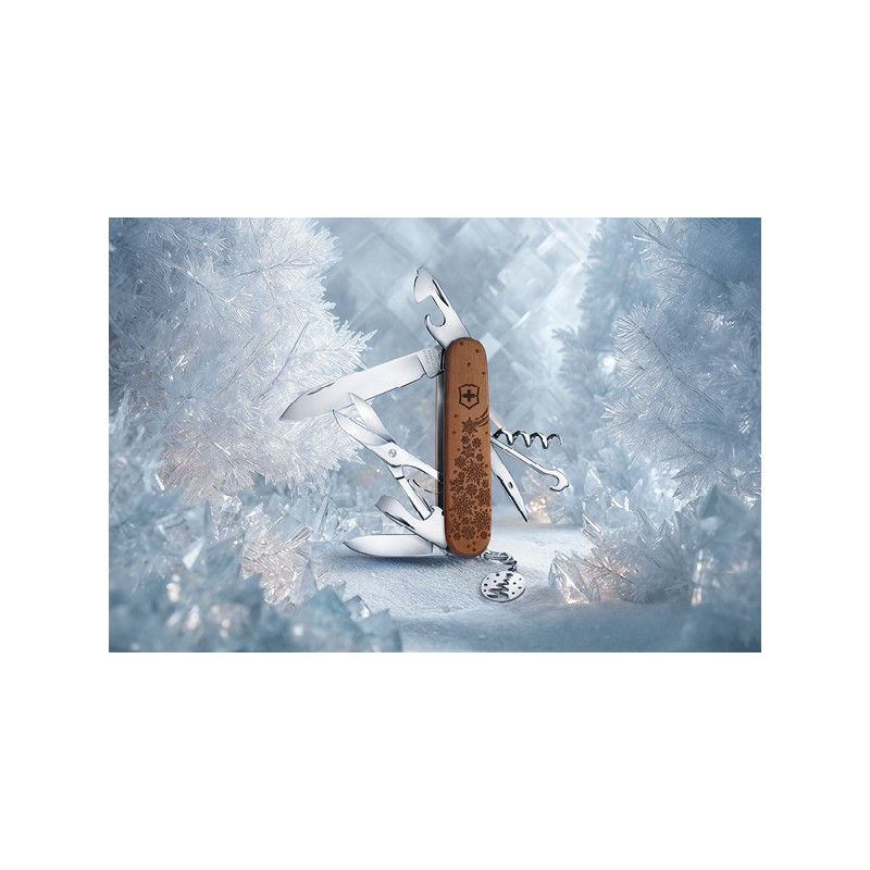 Climber Winter Magic Limited Edition 2025