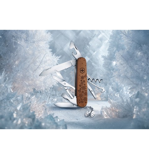 Climber Winter Magic Limited Edition 2025